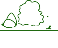 Burgess Park Woodland