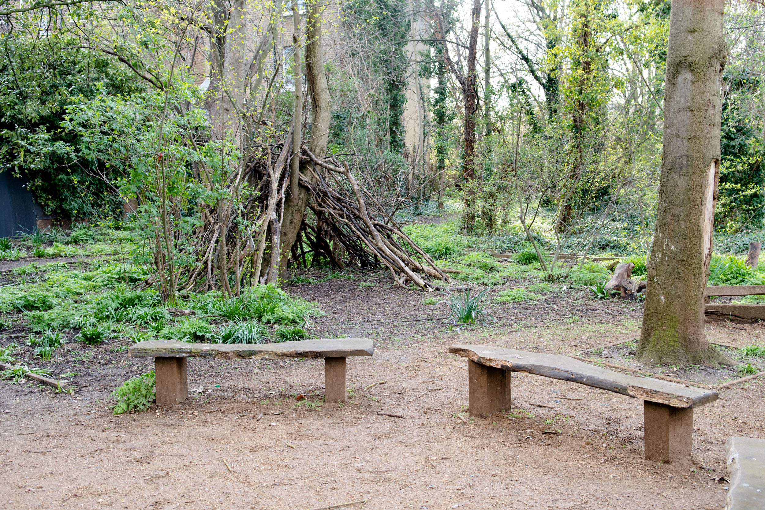 Bench circle used for forest school